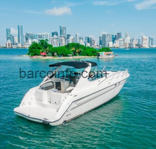 Maxum 4100 SCR ficha tecnica 